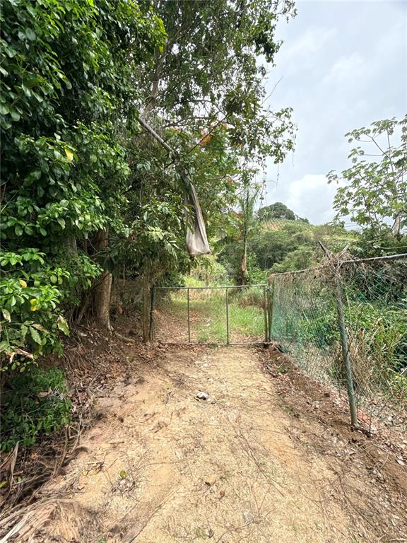 Km 0.9, Route 759, Maunabo - 16
