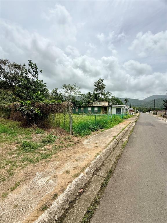 Km 0.9, Route 759, Maunabo - 5