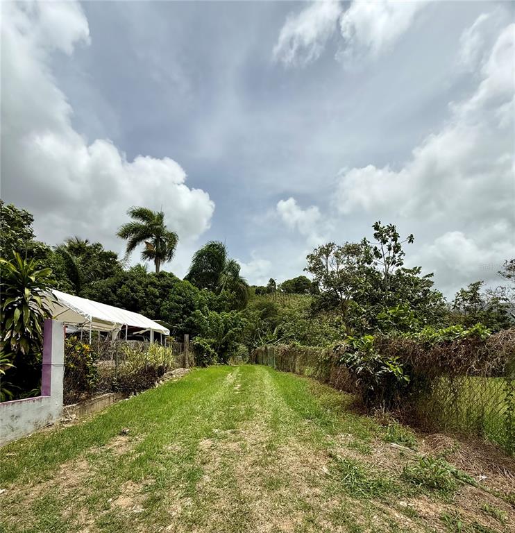 Km 0.9, Route 759, Maunabo - 9