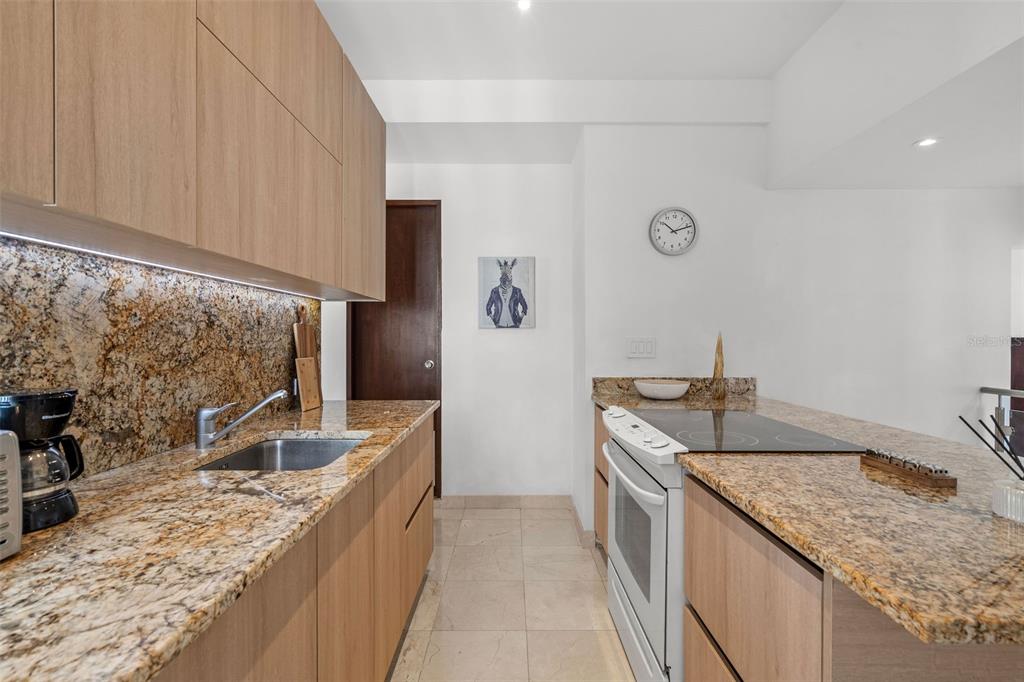 302, 1020, Ave. Ashford, San Juan - 6
