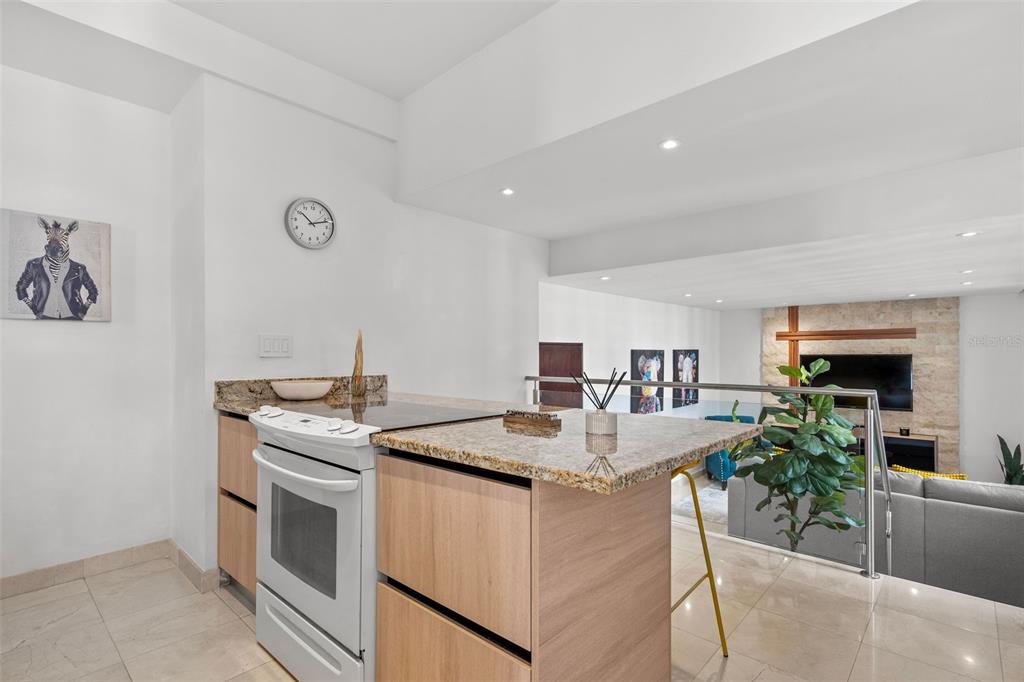 302, 1020, Ave. Ashford, San Juan - 7