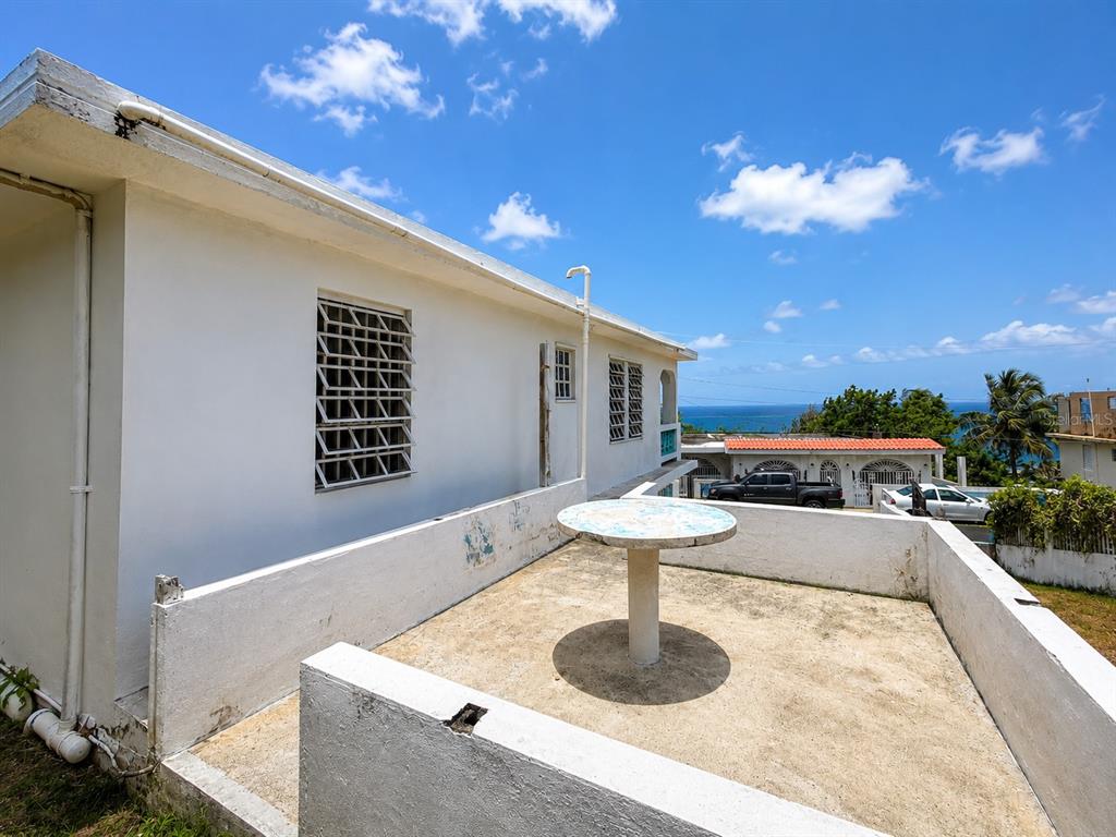 461 Comm. Mariani, Bo. Emajagua, Maunabo - 19