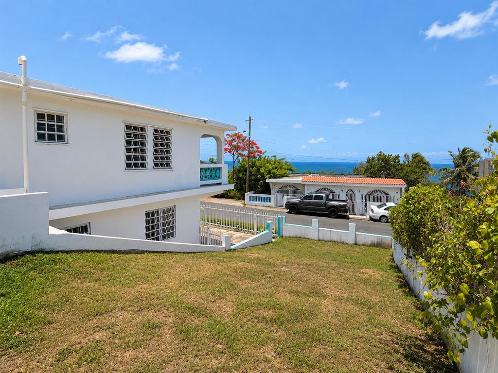 461 Comm. Mariani, Bo. Emajagua, Maunabo - 20