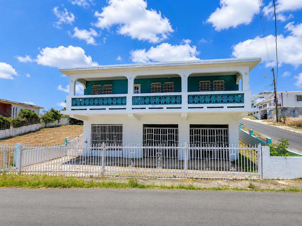 461 Comm. Mariani, Bo. Emajagua, Maunabo - 21