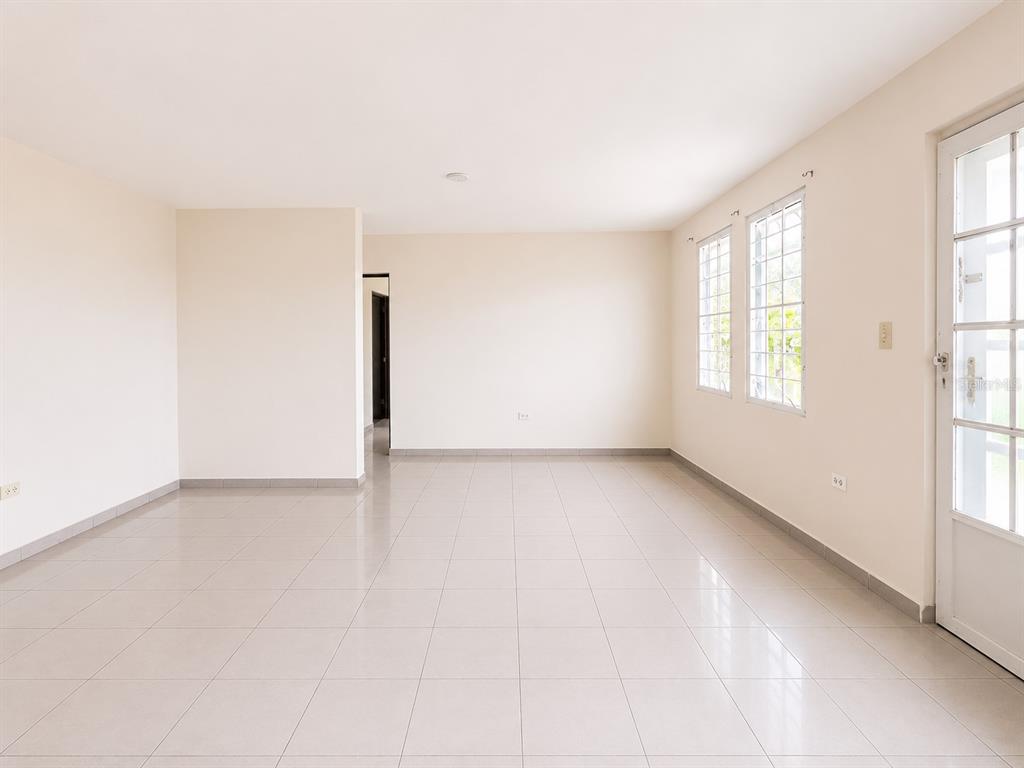 461 Comm. Mariani, Bo. Emajagua, Maunabo - 4