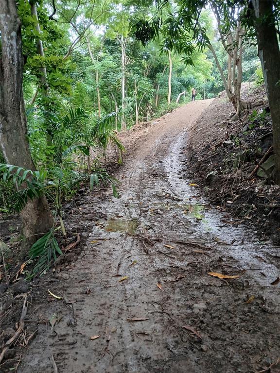 Barrero, Rincon - 3