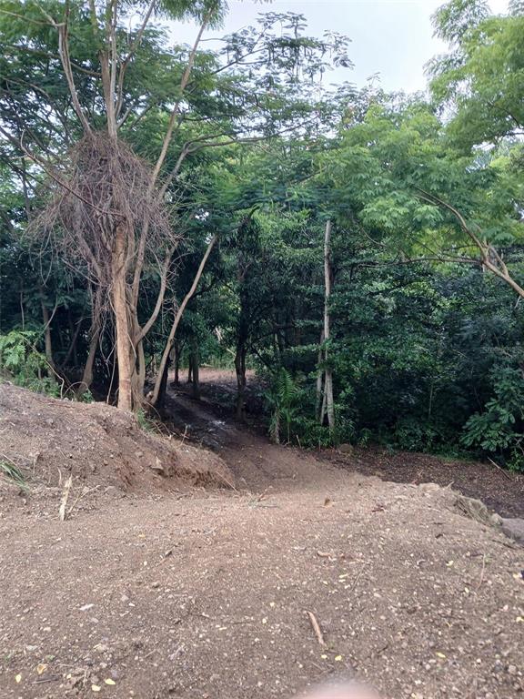 Barrero, Rincon - 5