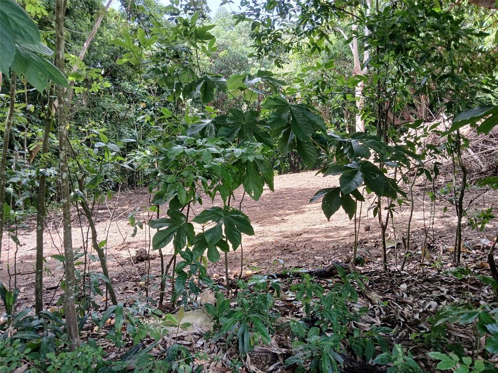 Barrero, Rincon - 6