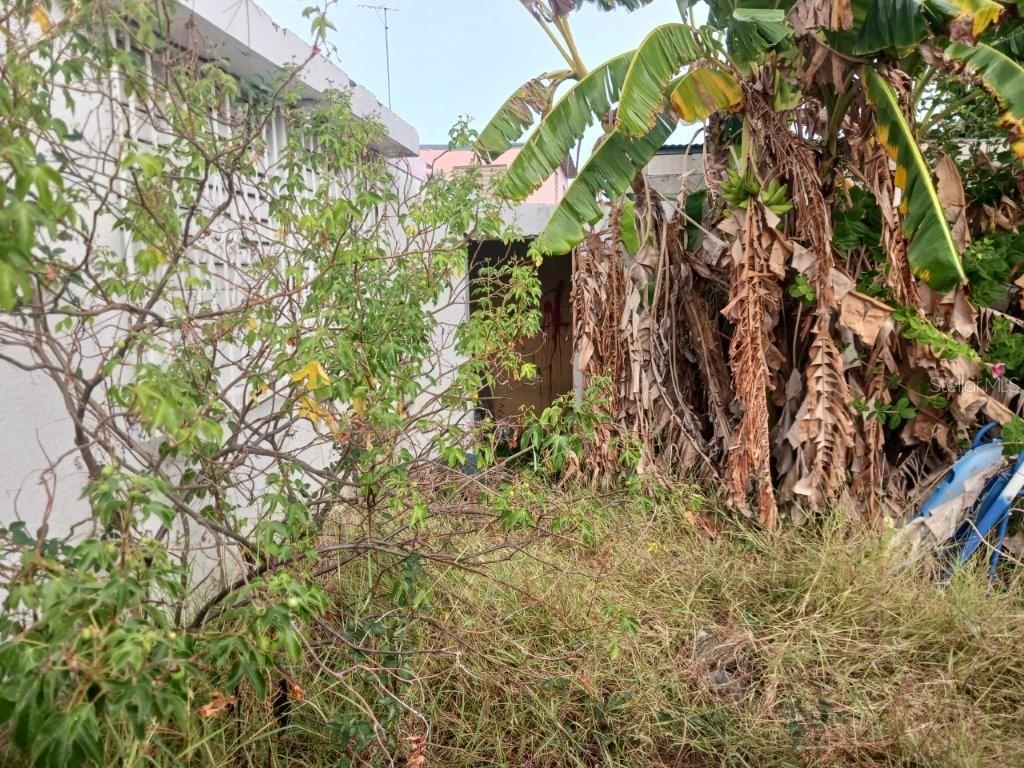 4219, Calle Santa Monica, Ponce - 17