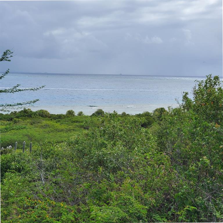 8c, Barrio Frailes, Culebra - 11