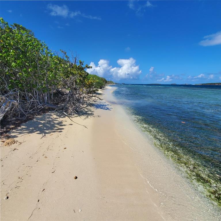 8c, Barrio Frailes, Culebra - 2