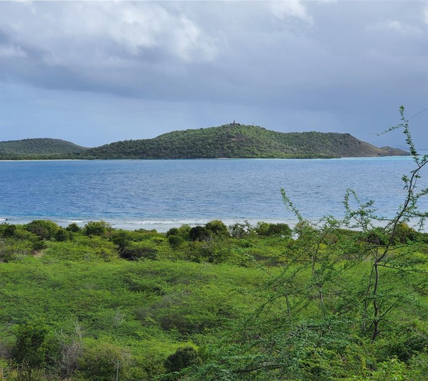 8c, Barrio Frailes, Culebra - 7