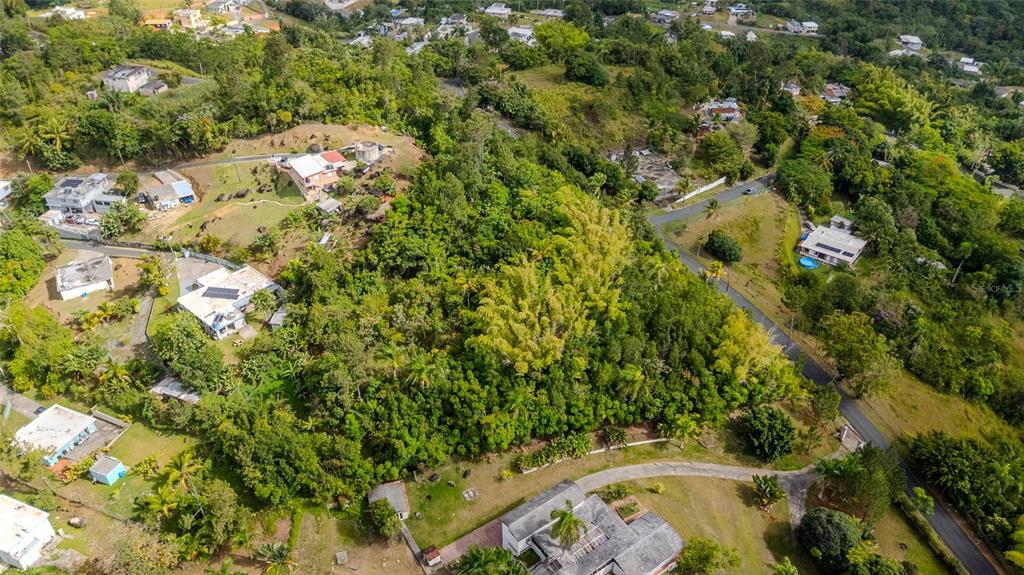 Urb La Esmeralda A1, Orquídea, Caguas - 1