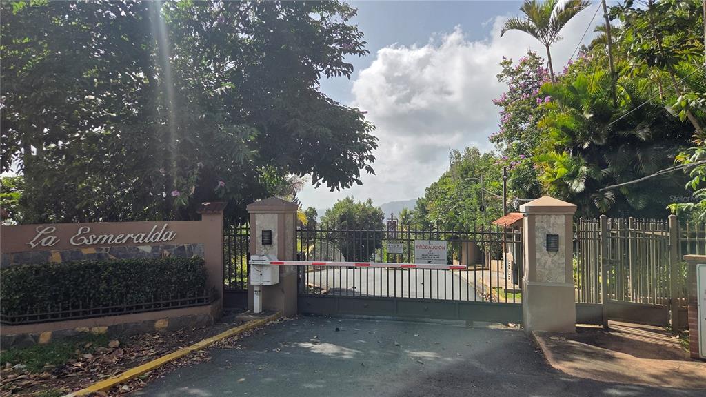 Urb La Esmeralda A1, Orquídea, Caguas - 10