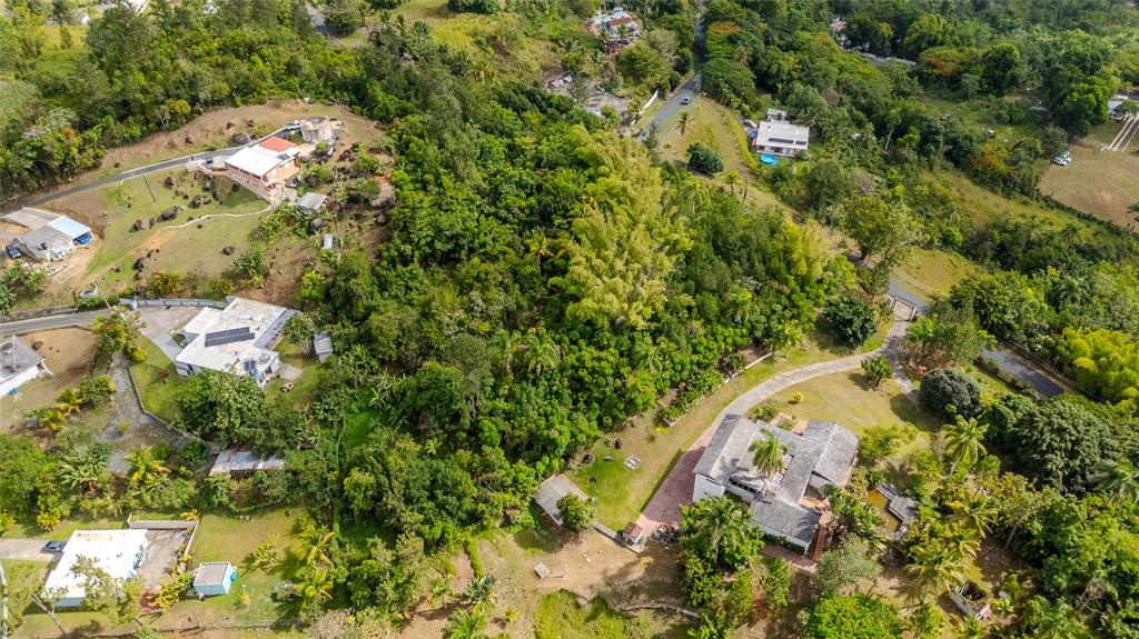 Urb La Esmeralda A1, Orquídea, Caguas - 2