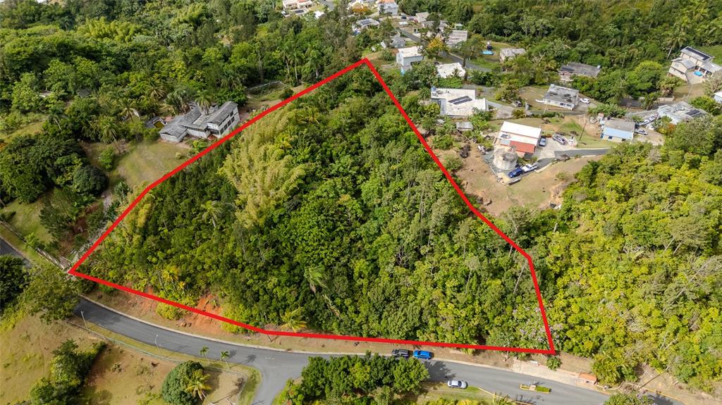 Urb La Esmeralda A1, Orquídea, Caguas - 4