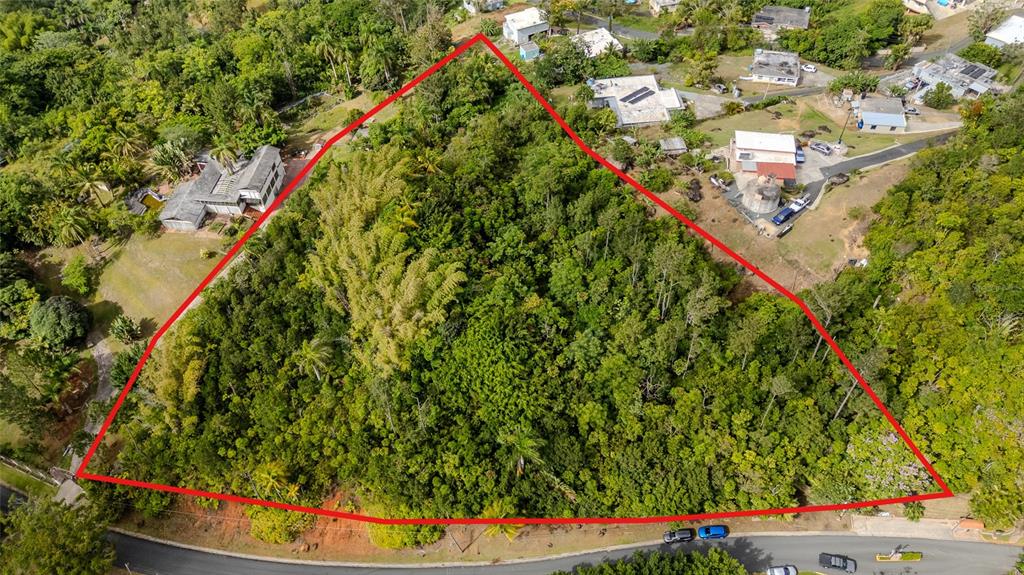 Urb La Esmeralda A1, Orquídea, Caguas - 6