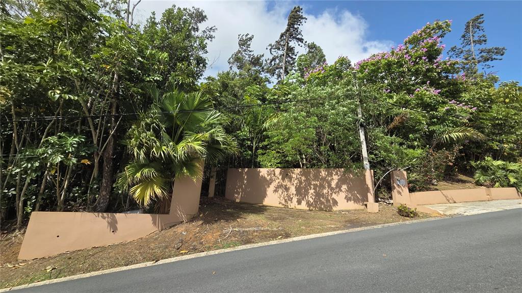 Urb La Esmeralda A1, Orquídea, Caguas - 7