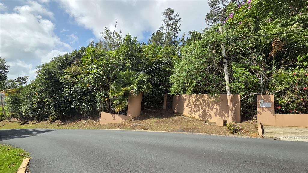 Urb La Esmeralda A1, Orquídea, Caguas - 8