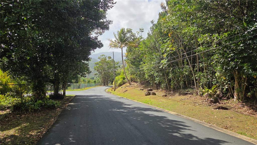 Urb La Esmeralda A1, Orquídea, Caguas - 9