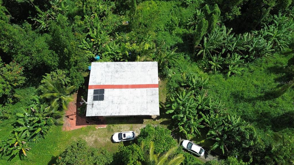 Pr-183, San Lorenzo - 2