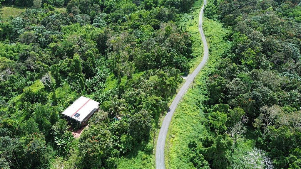 Pr-183, San Lorenzo - 3