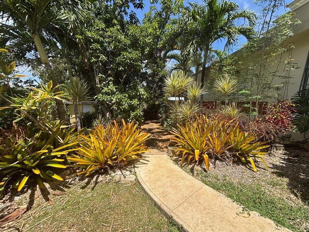 2, Ramal 685 Bo Tierras Nuevas Sec Los Rabanos, Manati - 38