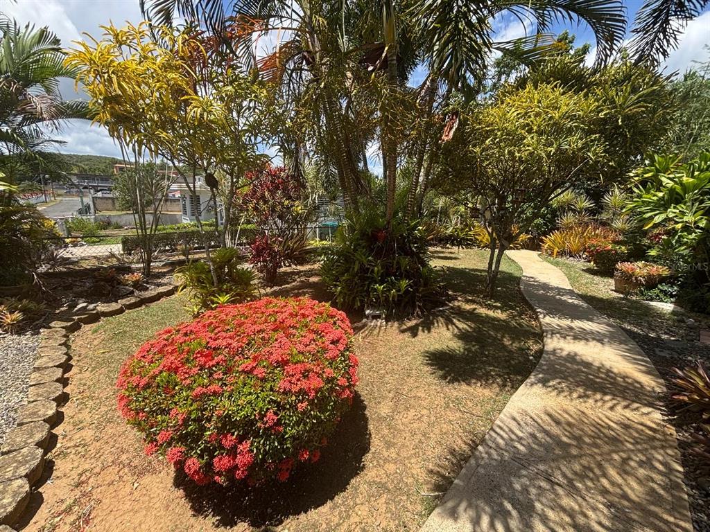 2, Ramal 685 Bo Tierras Nuevas Sec Los Rabanos, Manati - 40