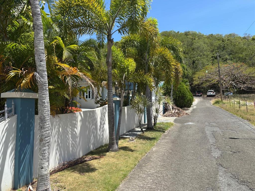 2, Ramal 685 Bo Tierras Nuevas Sec Los Rabanos, Manati - 5