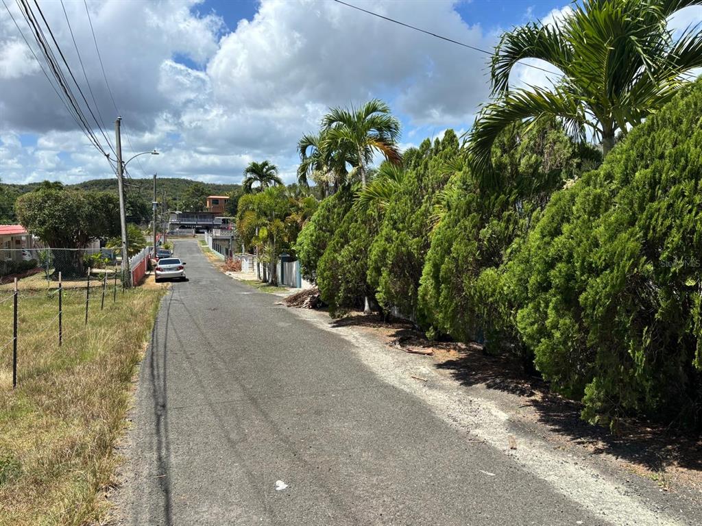 2, Ramal 685 Bo Tierras Nuevas Sec Los Rabanos, Manati - 6