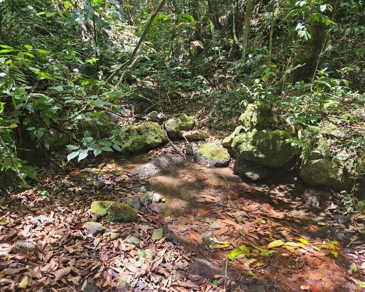 Hacienda De Cidra, Rabanal Parcela #32, Cidra - 11