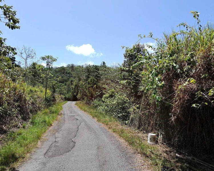 Hacienda De Cidra, Rabanal Parcela #32, Cidra - 19