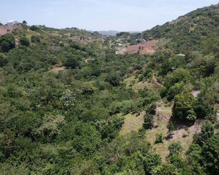 Hacienda De Cidra, Rabanal Parcela #32, Cidra - 3