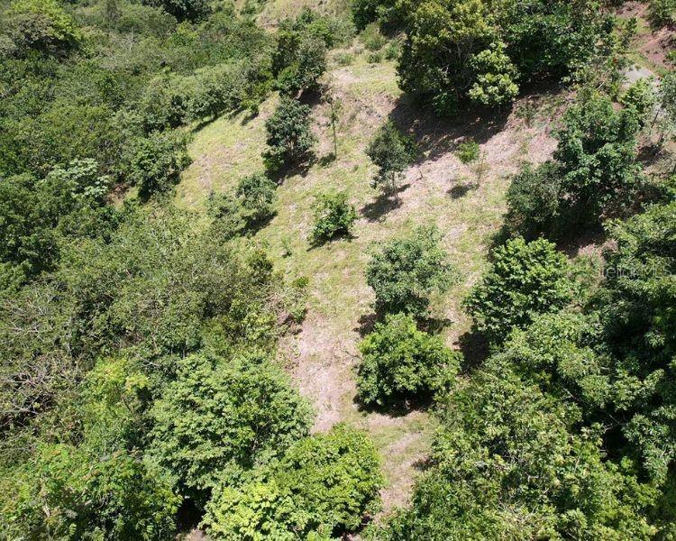 Hacienda De Cidra, Rabanal Parcela #32, Cidra - 4