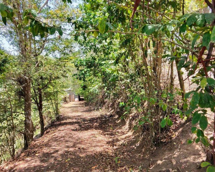 Hacienda De Cidra, Rabanal Parcela #32, Cidra - 5