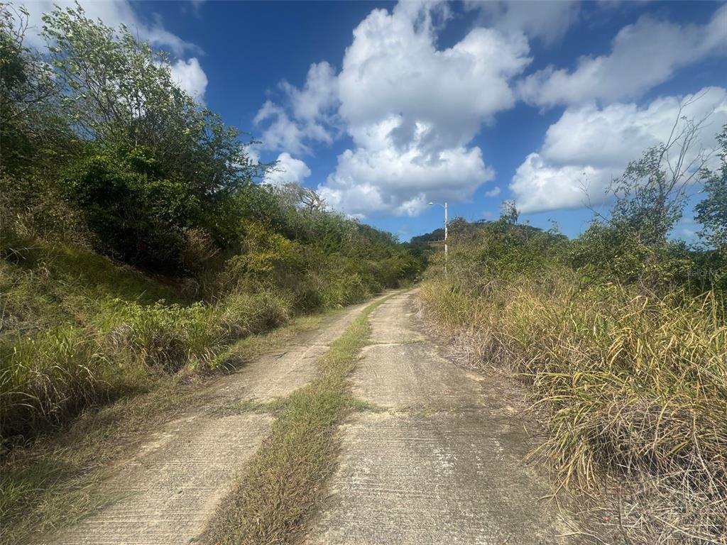 3a, Barrio Flamenco Tamarindo Beach, Culebra - 15