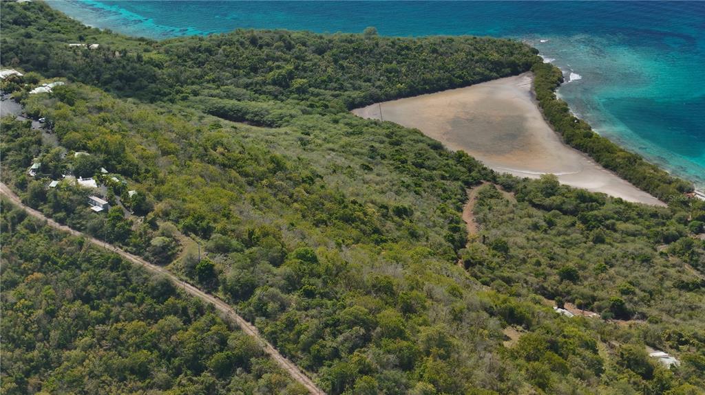 3a, Barrio Flamenco Tamarindo Beach, Culebra - 3
