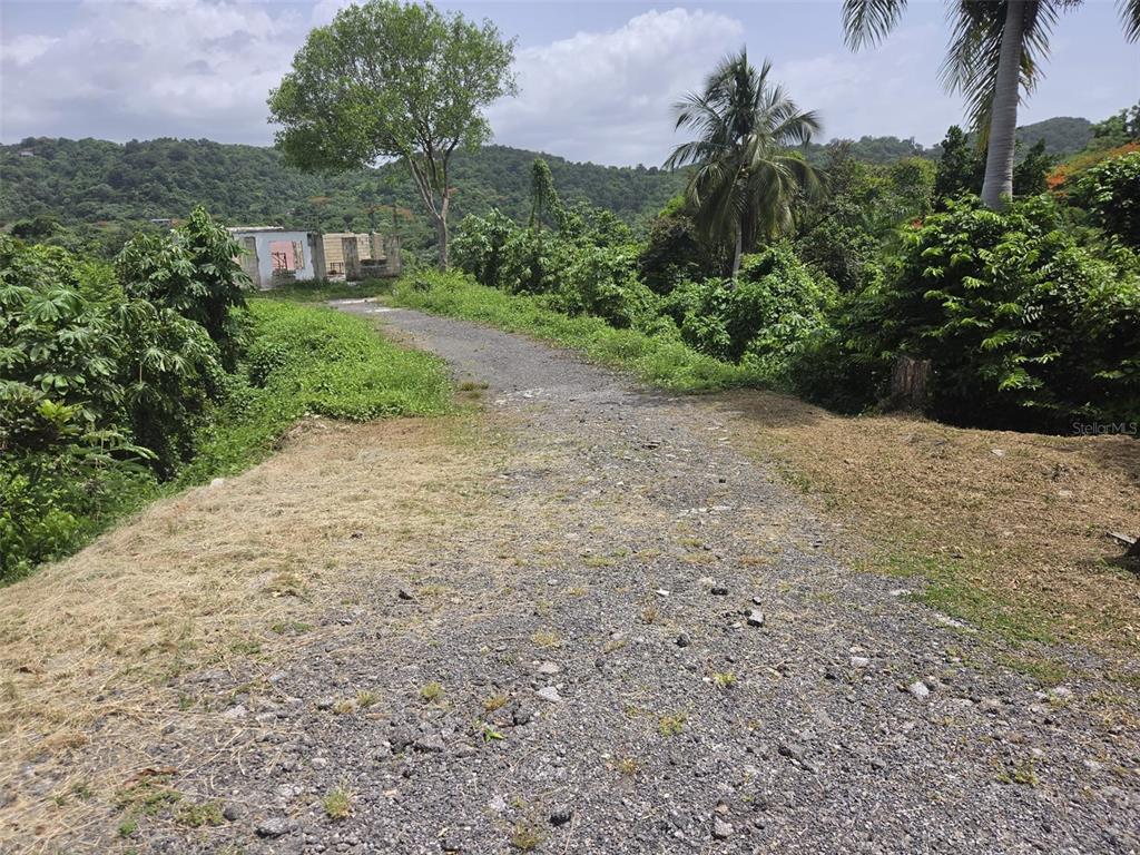 Carr. 348, Km. 5.7 Int., Bo. Malezas, Mayaguez - 2