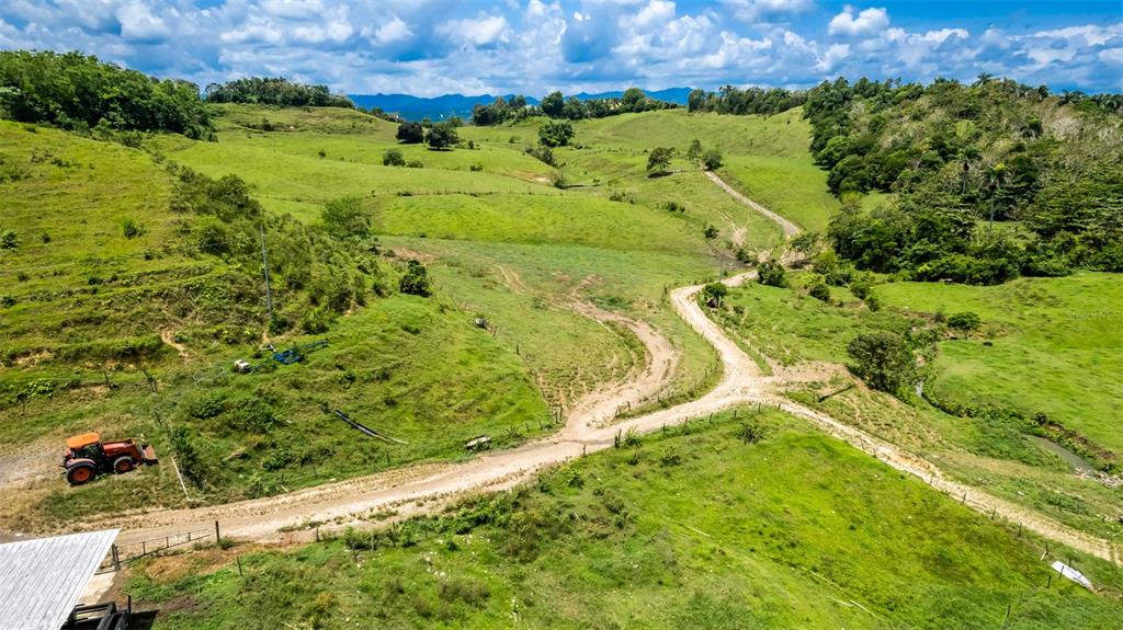Km 1.6, 633, Morovis - 10