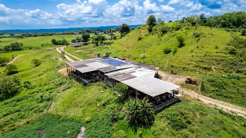 Km 1.6, 633, Morovis - 11
