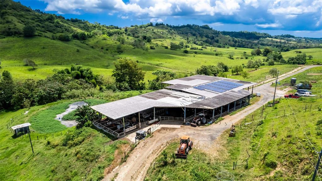 Km 1.6, 633, Morovis - 12