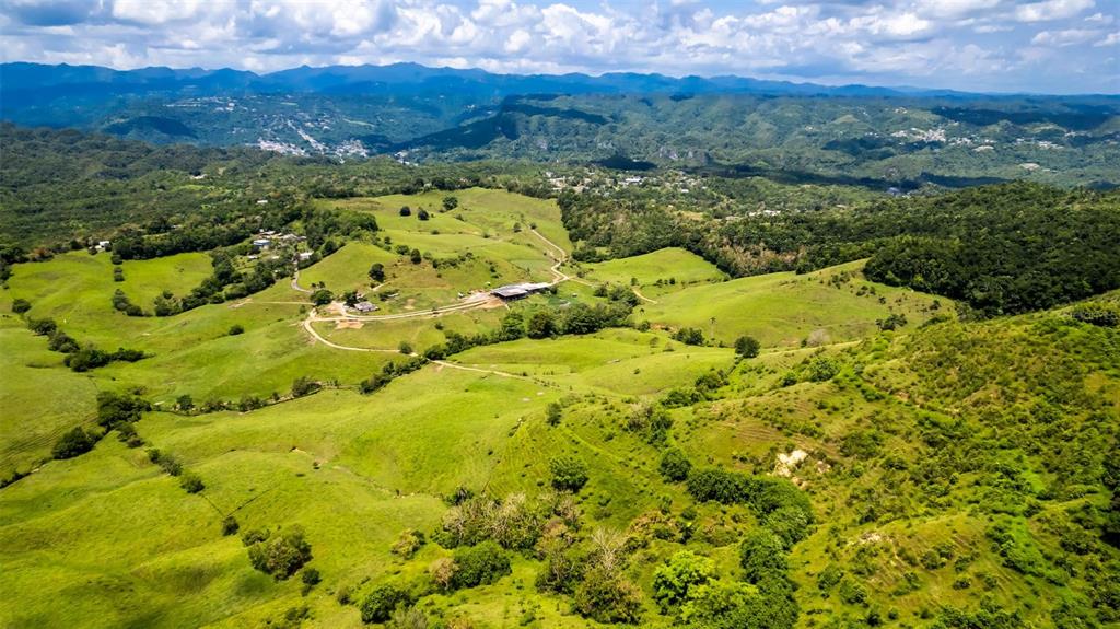 Km 1.6, 633, Morovis - 5