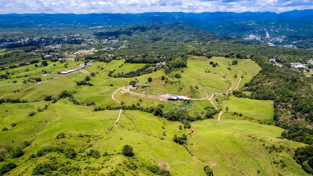 Km 1.6, 633, Morovis - 6
