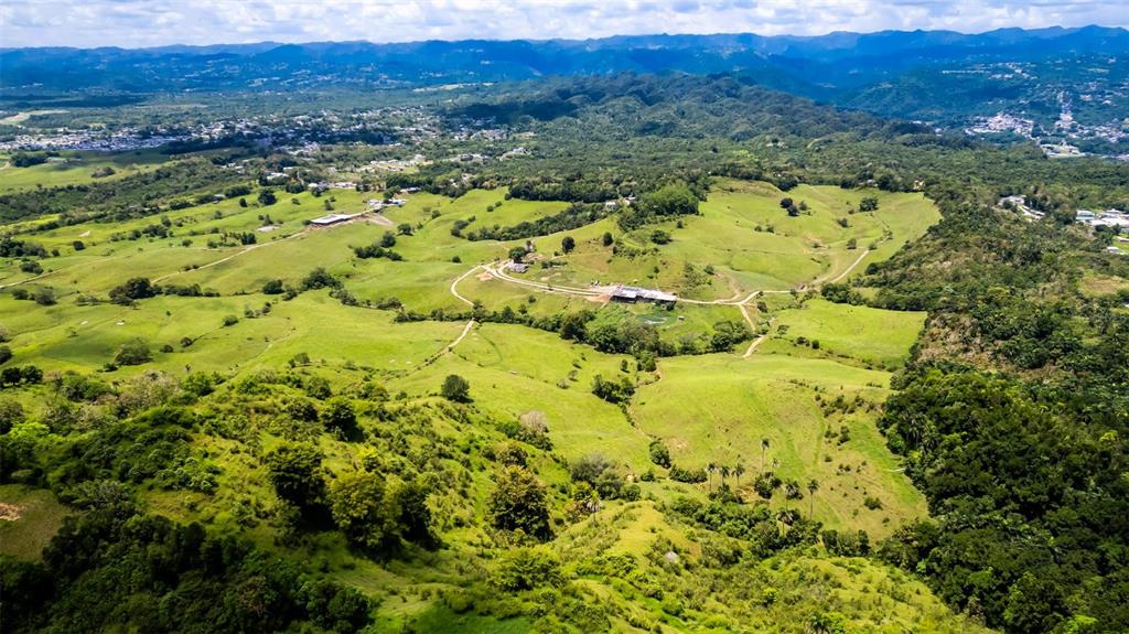 Km 1.6, 633, Morovis - 7