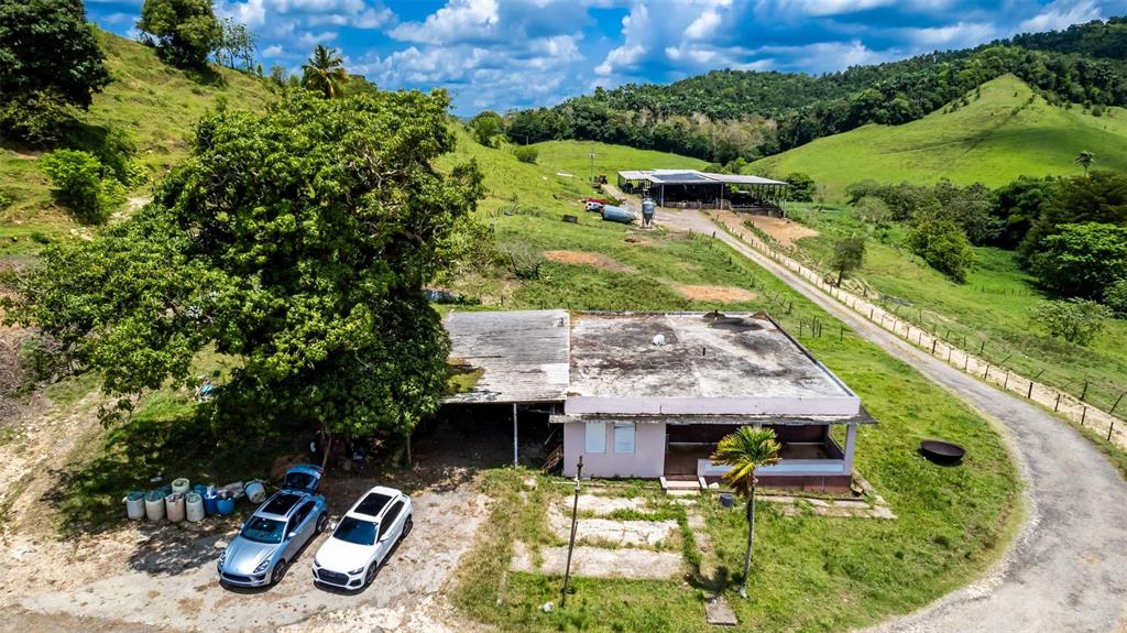 Km 1.6, 633, Morovis - 8