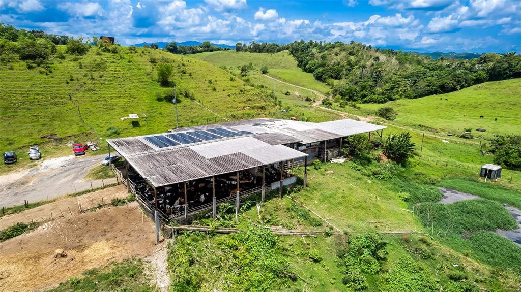 Km 1.6, 633, Morovis - 9