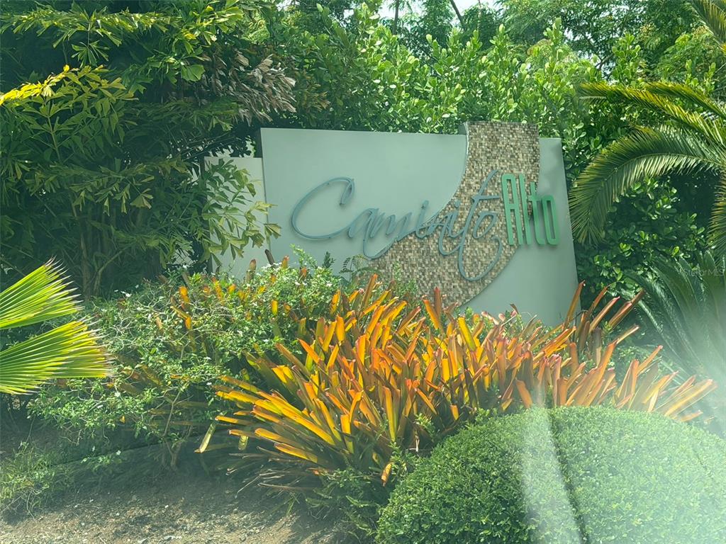 Caminito Alto, Carr 189, Gurabo - 1