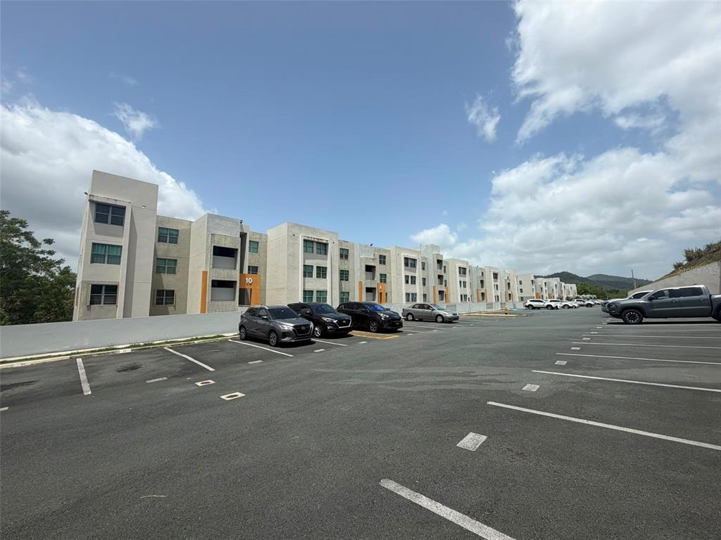 Caminito Alto, Carr 189, Gurabo - 10
