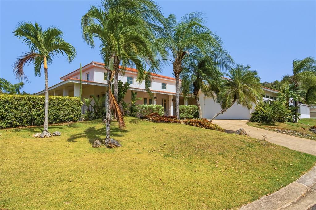 451, Camino Guajataca, Dorado - 41