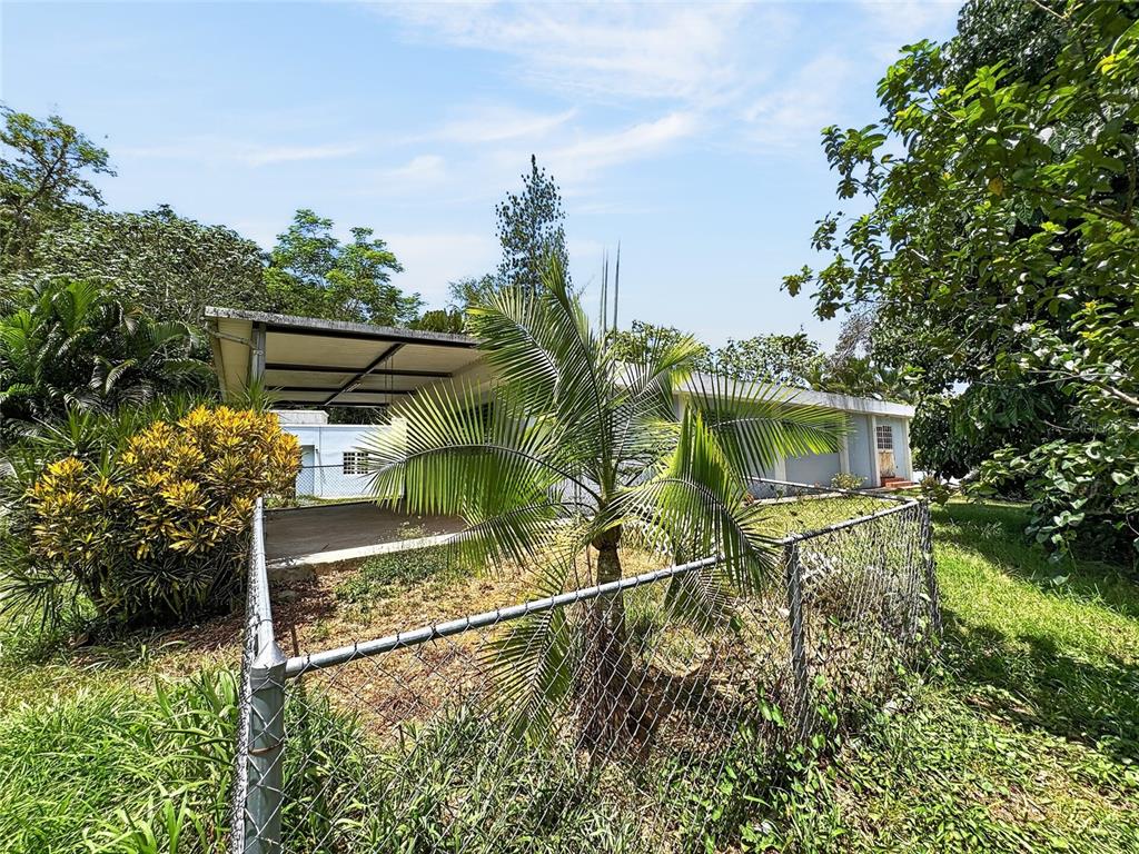 , Bayamon - 30